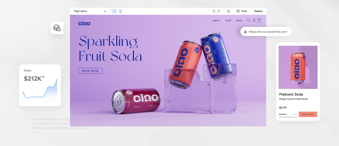 pros and cons of using Wix