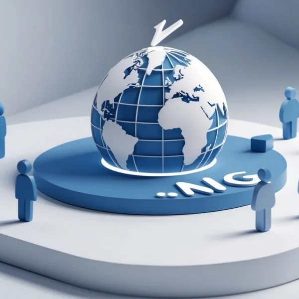 ng domain names meaning