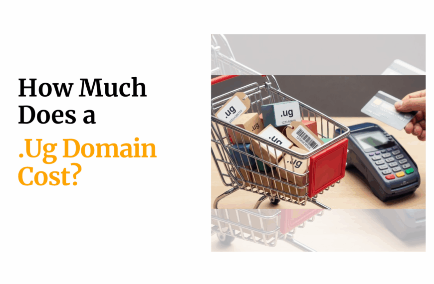 How Much Does a .Ug Domain Cost?