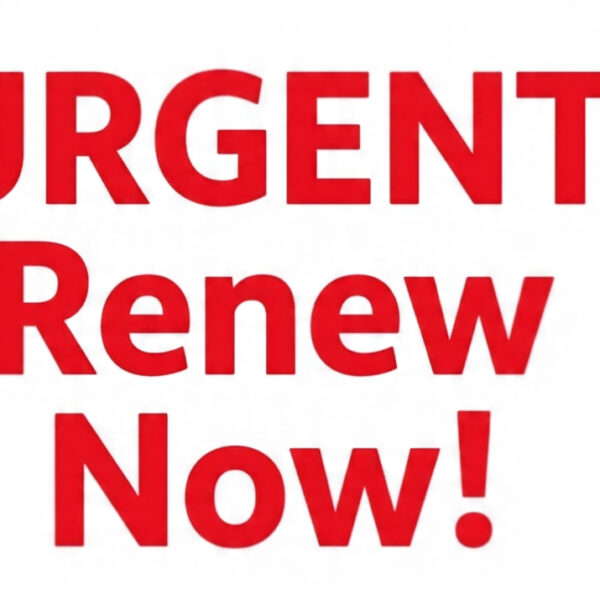 domain expiry checker