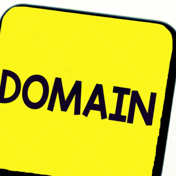 .org domain