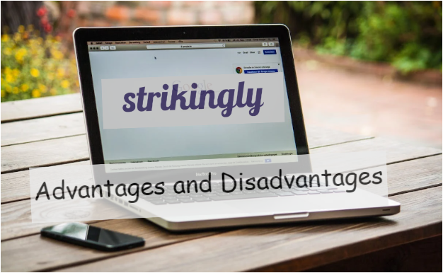 Strikingly Advantages and Disadvantages