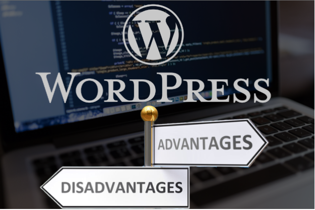 WordPress Advantages and Disadvantages: Make a better choice
