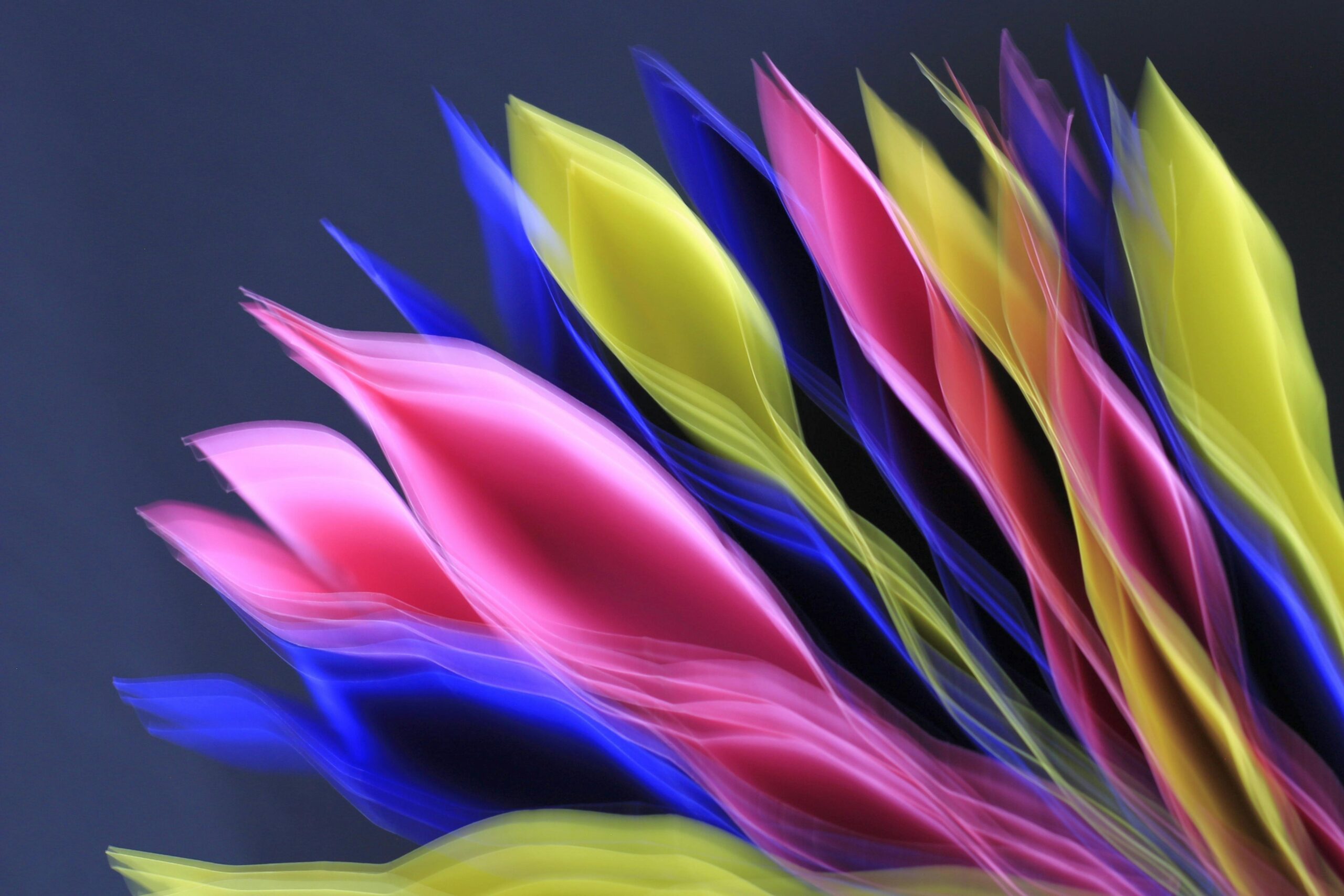 author website color schemes