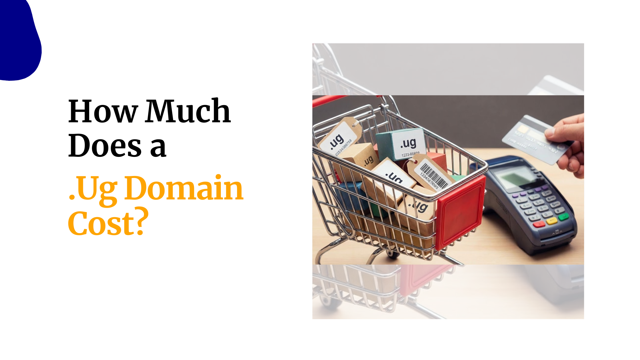 How Much Does a .Ug Domain Cost?